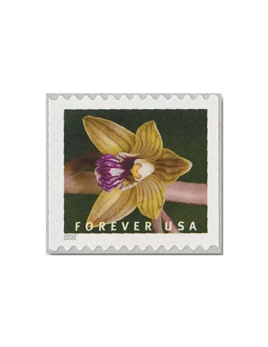 n° 5292a/5301a - Timbre ETATS-UNIS D´AMERIQUE Poste