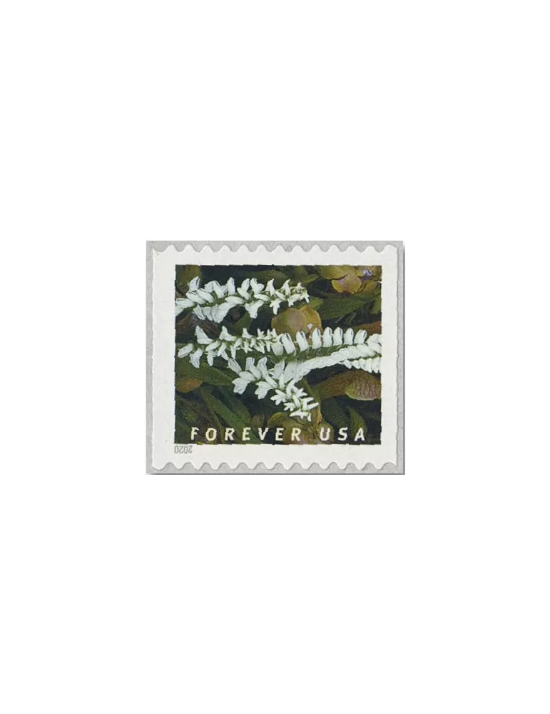n° 5292a/5301a - Timbre ETATS-UNIS D´AMERIQUE Poste