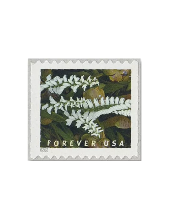 n° 5292a/5301a - Timbre ETATS-UNIS D´AMERIQUE Poste