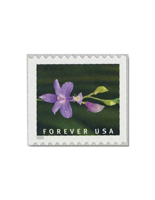 n° 5292a/5301a - Timbre ETATS-UNIS D´AMERIQUE Poste