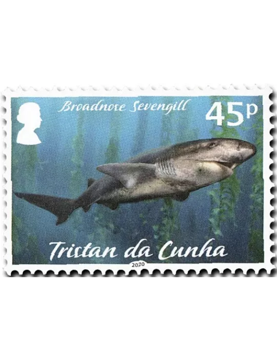 n° 1248/1251 - Timbre TRISTAN DA CUNHA Poste