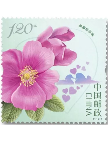 n° 5725/5728 - Timbre Chine Poste 2