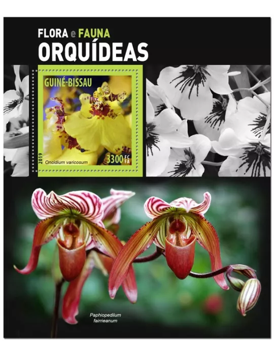 n° 1563 - Timbre GUINEE-BISSAU Blocs et feuillets