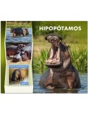 n° 1412 - Timbre MOZAMBIQUE Blocs et feuillets
