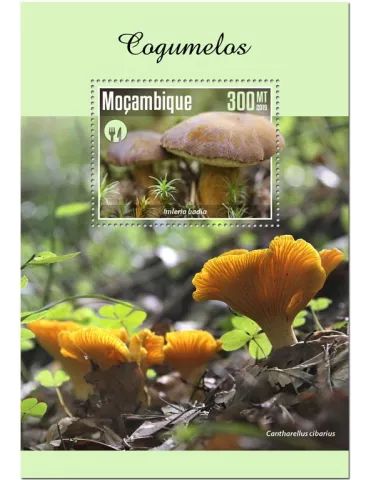 n° 1499 - Timbre MOZAMBIQUE Blocs et feuillets