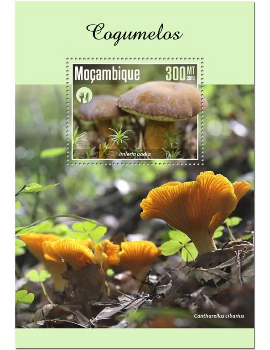 n° 1499 - Timbre MOZAMBIQUE Blocs et feuillets