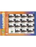 n° F2596 - Timbre DJIBOUTI Poste