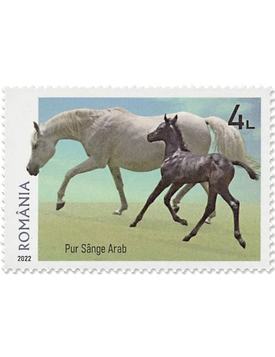 n° 6902/6905 - Timbre ROUMANIE Poste