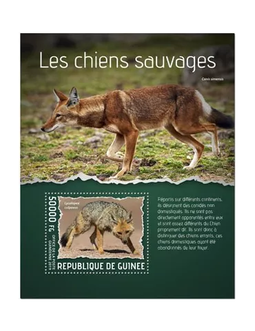 n° 2427 - Timbre GUINEE Blocs et feuillets