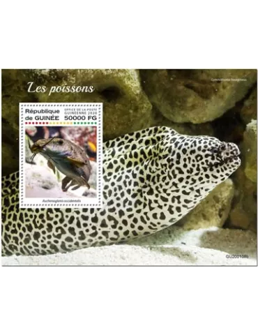 n° 2501  - Timbre GUINEE Blocs et feuillets