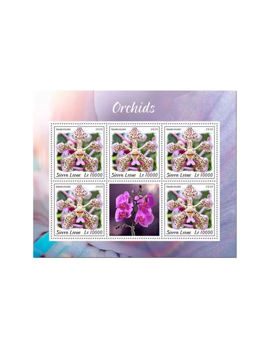 n° F9656/F9658  - Timbre SIERRA LEONE Poste