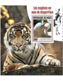 n° 1041 - Timbre NIGER Blocs et feuillets