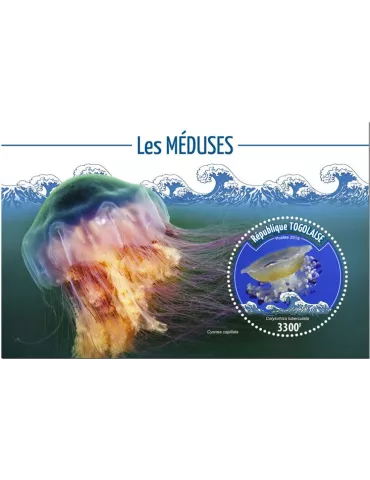 n° 1729 - Timbre TOGO Blocs et feuillets