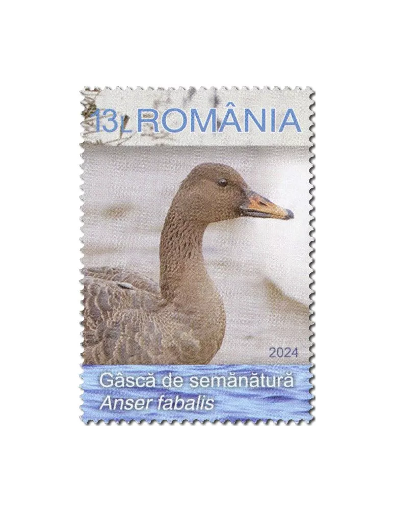 n° 7103/7106 - Timbre ROUMANIE Poste