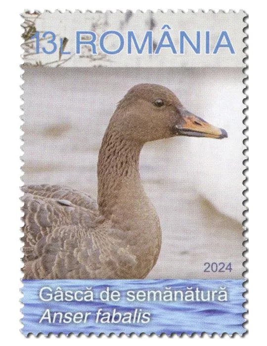 n° 7103/7106 - Timbre ROUMANIE Poste