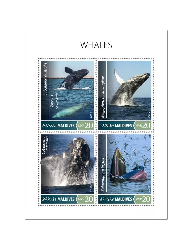 n° 6968/6971 - Timbre MALDIVES Poste