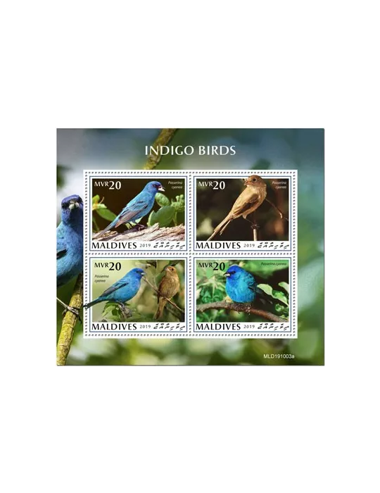 n° 7169/7172  - Timbre MALDIVES Poste