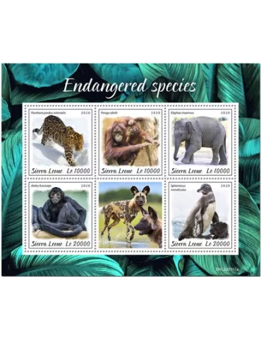 n° 9681/9685  - Timbre SIERRA LEONE Poste