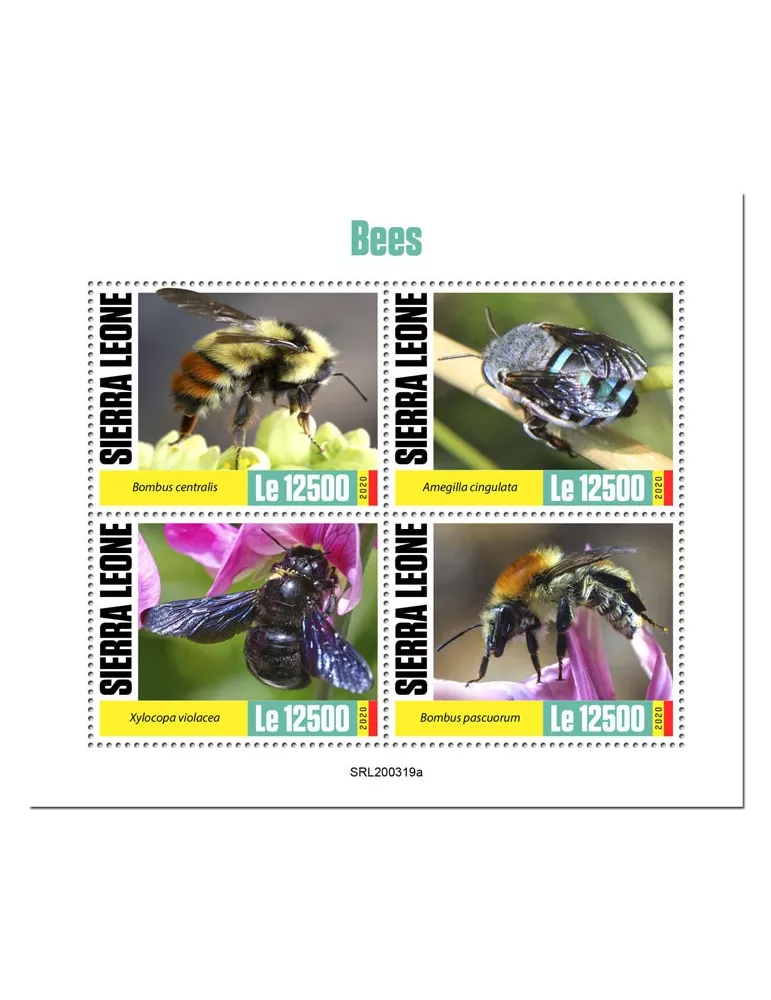 n° 9836/9839  - Timbre SIERRA LEONE Poste