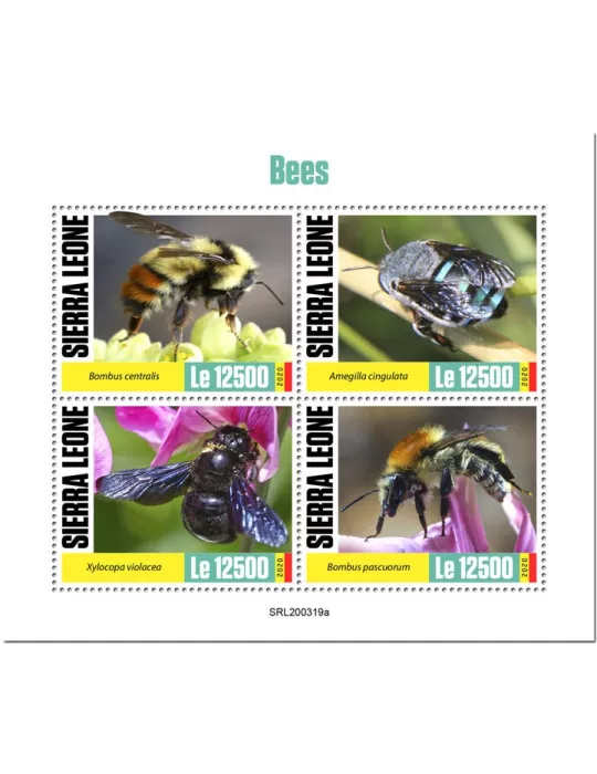 n° 9836/9839  - Timbre SIERRA LEONE Poste