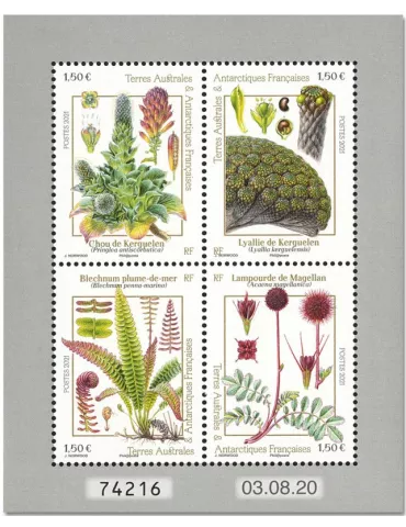 n° F969 - Timbre TAAF Poste