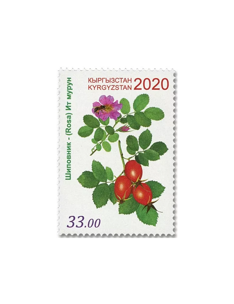 n° 834/836 - Timbre KIRGHIZISTAN (Poste Kirghize) Poste