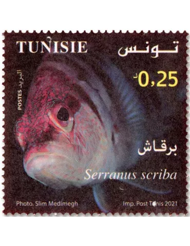 n° 1950/1953 - Timbre TUNISIE Poste