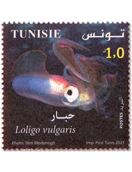 n° 1950/1953 - Timbre TUNISIE Poste