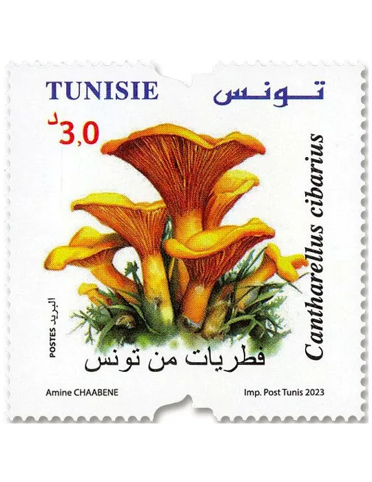 n° 2024/2027 - Timbre TUNISIE Poste
