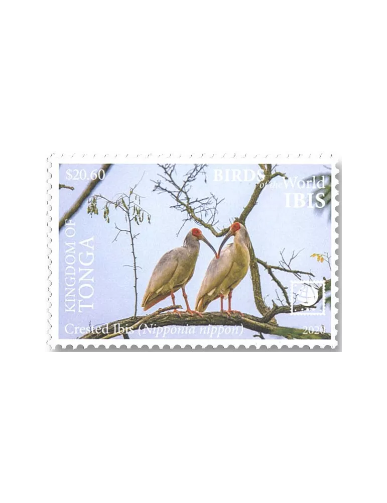 n° 1598/1601 - Timbre TONGA Poste