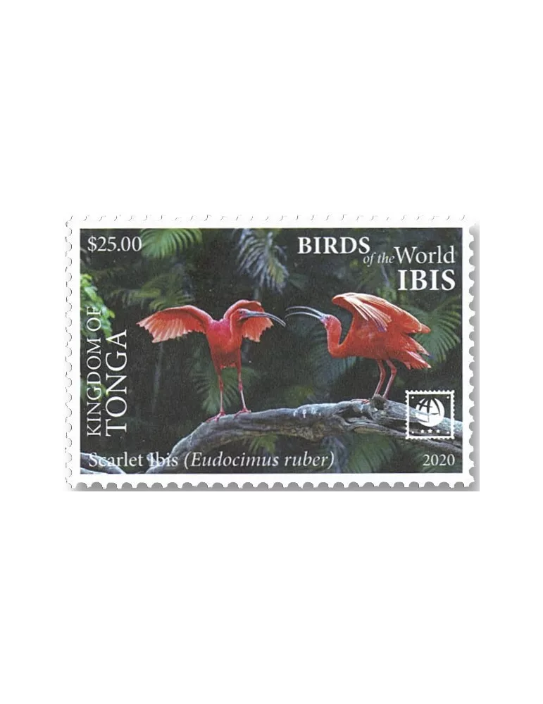 n° 1598/1601 - Timbre TONGA Poste