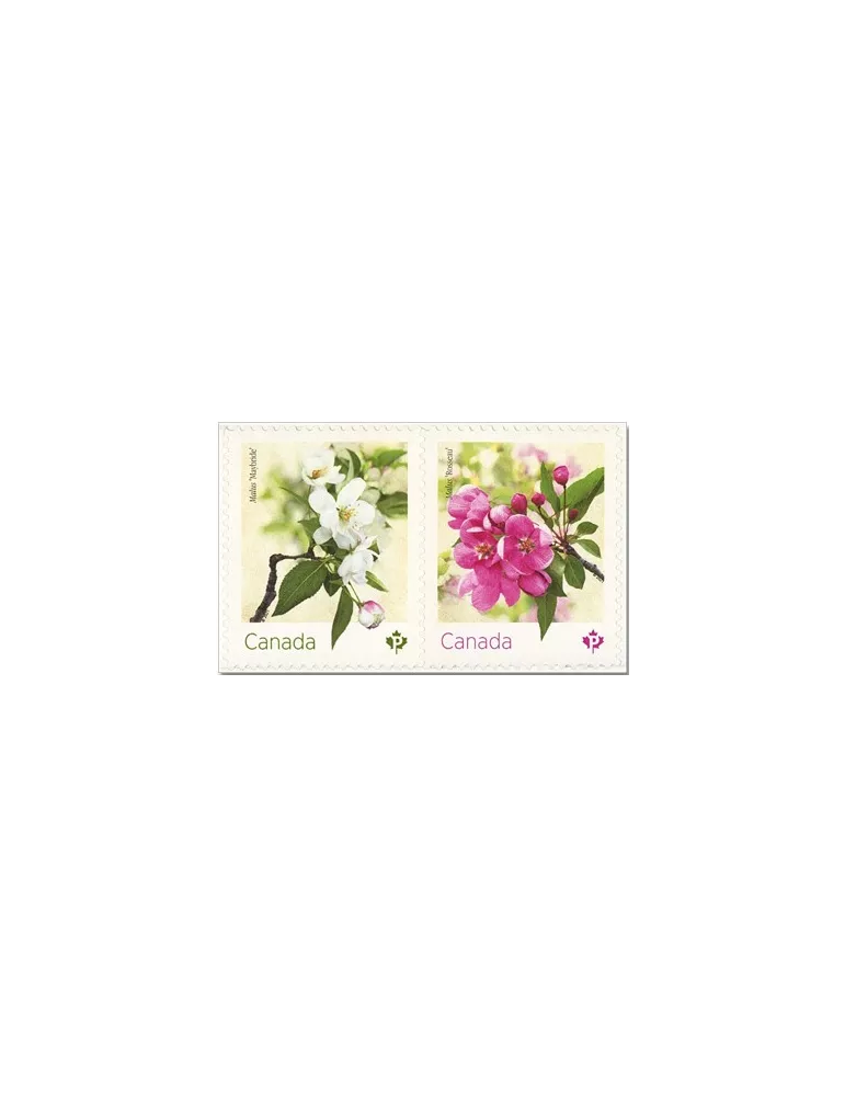 n° 3750/3751 - Timbre CANADA Poste