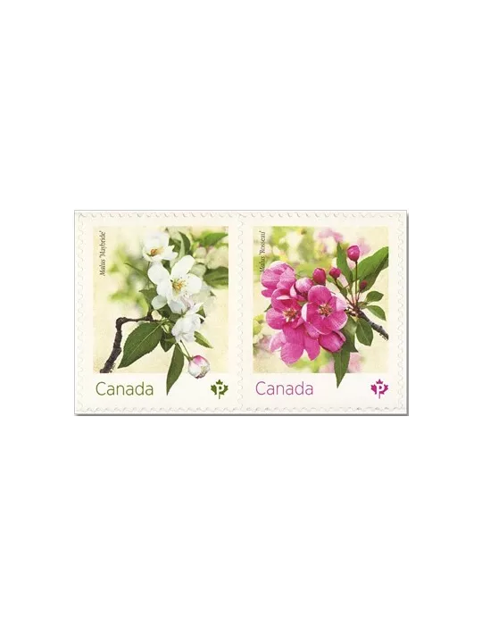 n° 3750/3751 - Timbre CANADA Poste