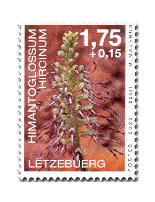 n° 2290/2293 - Timbre LUXEMBOURG Poste
