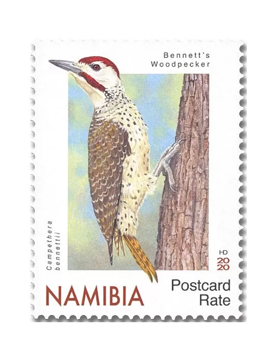 n° 1439/1443 - Timbre NAMIBIE Poste