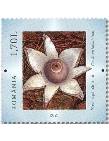 n° 6708/6713 - Timbre ROUMANIE Poste