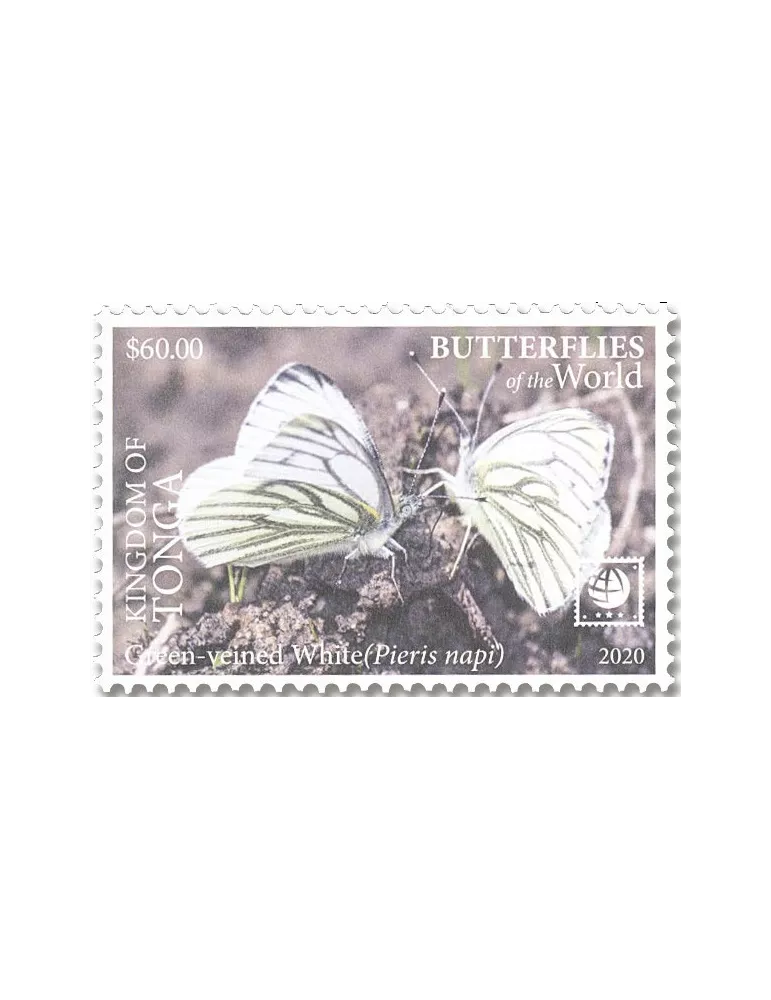 n° 1638/1641 - Timbre TONGA Poste