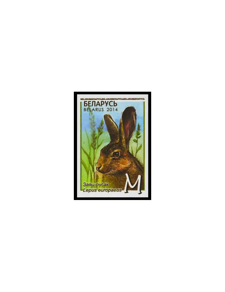 n° 879/883 - Timbre BIELORUSSIE Poste