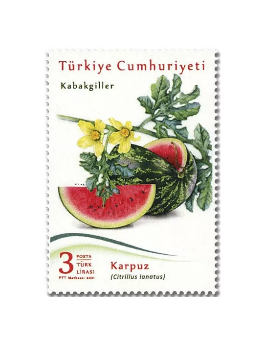 n° 4067/4069 - Timbre TURQUIE Poste