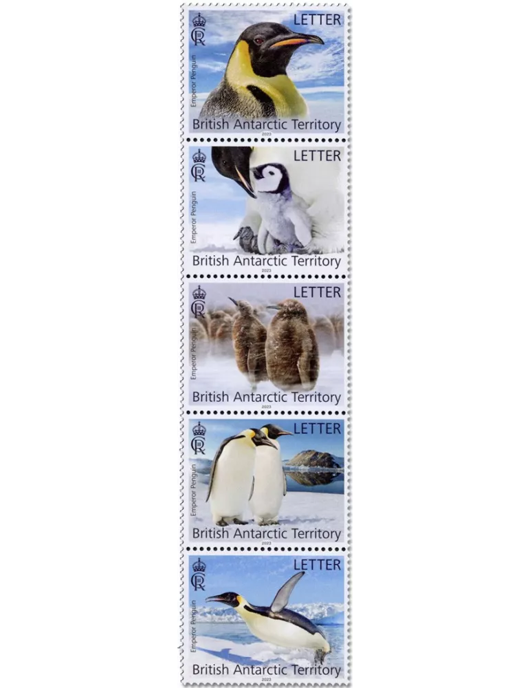 n° 830/834 - Timbre ANTARCTIQUE BRITANNIQUE Poste