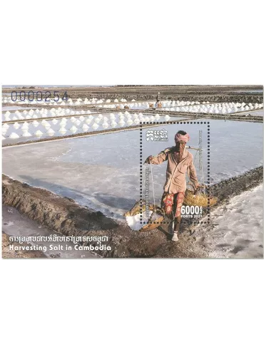 n° 252 + 252A - Timbre CAMBODGE Blocs et feuillets