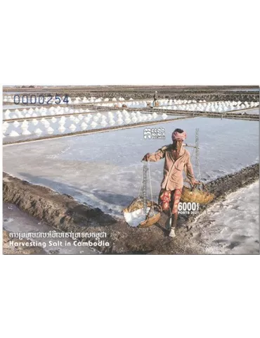n° 252 + 252A - Timbre CAMBODGE Blocs et feuillets 2