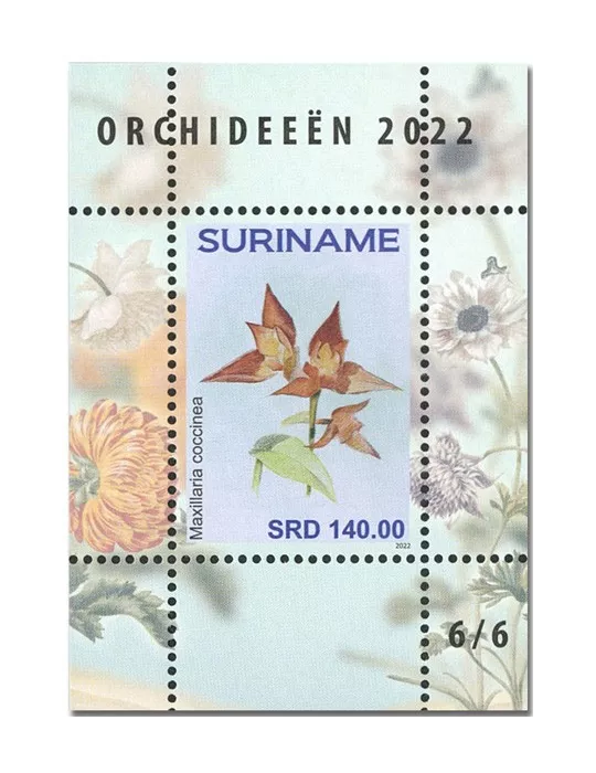 n°  189 à 194 - Timbre SURINAM Blocs et feuillets