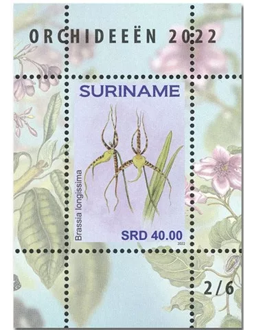 n°  189 à 194 - Timbre SURINAM Blocs et feuillets 2