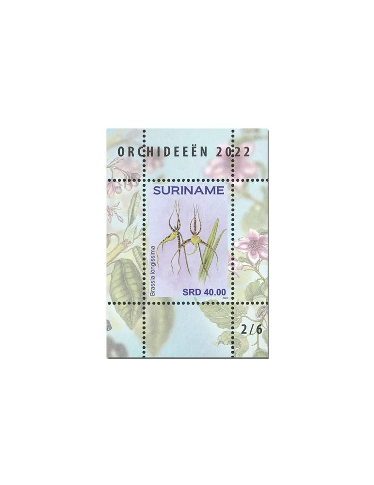 n°  189 à 194 - Timbre SURINAM Blocs et feuillets