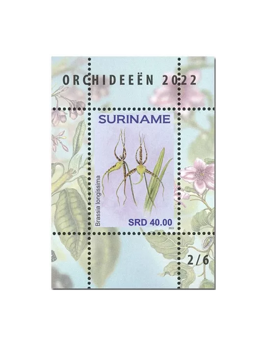 n°  189 à 194 - Timbre SURINAM Blocs et feuillets