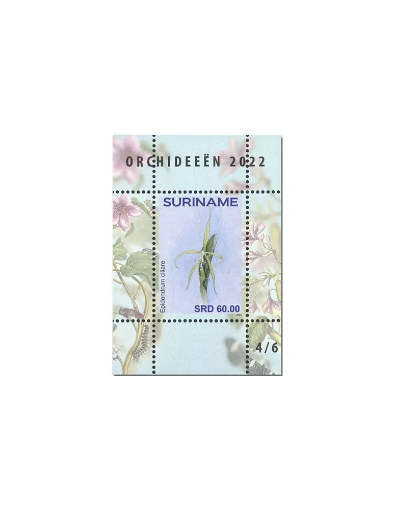 n°  189 à 194 - Timbre SURINAM Blocs et feuillets