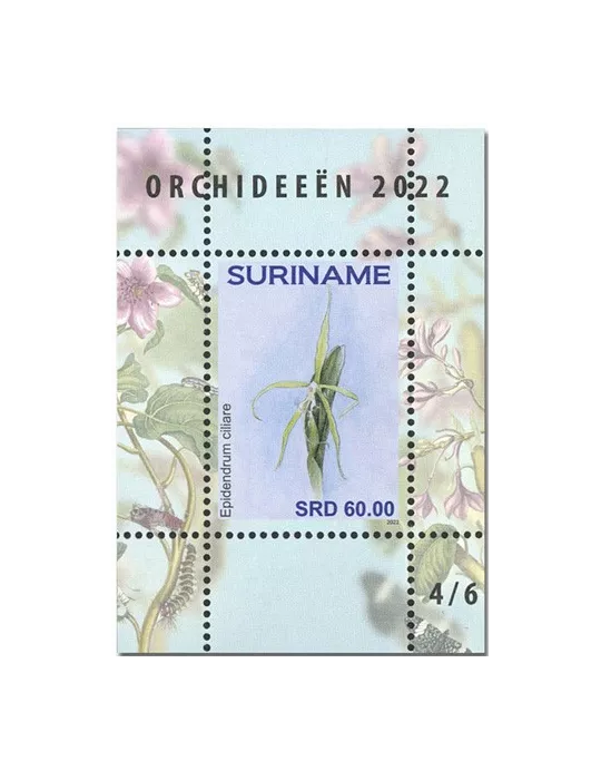 n°  189 à 194 - Timbre SURINAM Blocs et feuillets