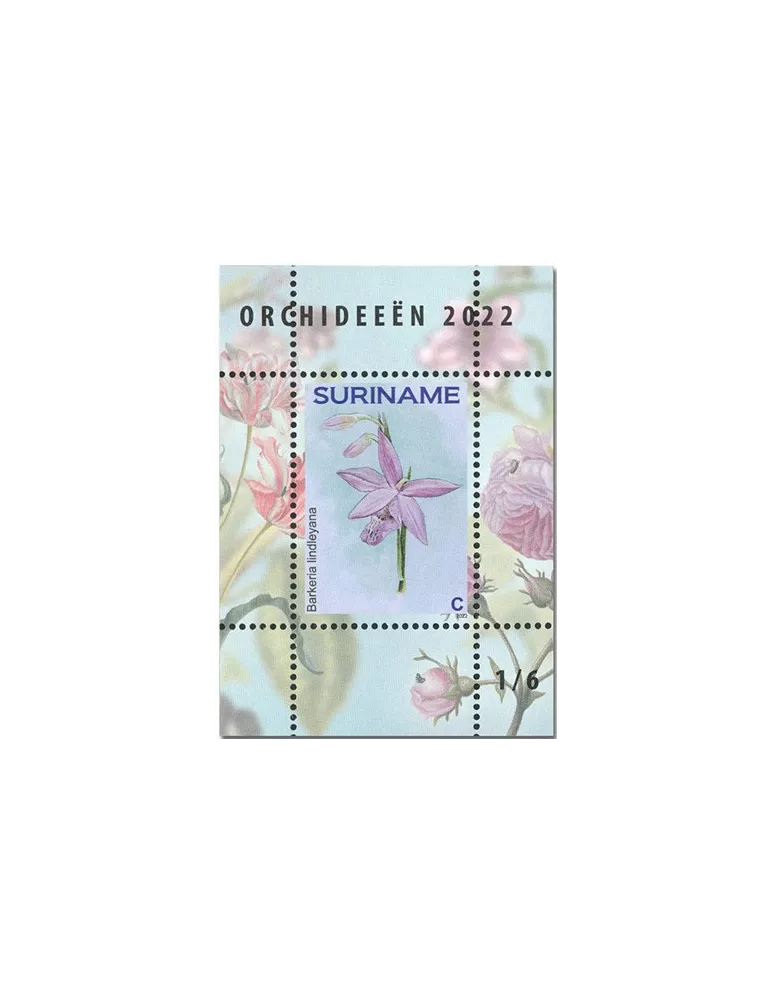 n°  189 à 194 - Timbre SURINAM Blocs et feuillets