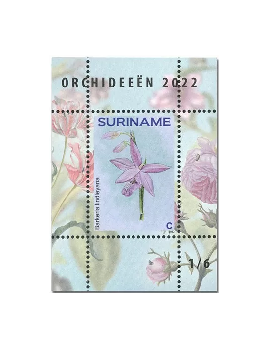 n°  189 à 194 - Timbre SURINAM Blocs et feuillets